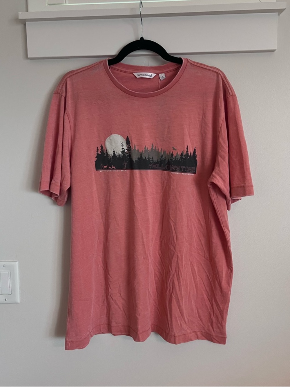 Camp David Salmon Yellowstone TShirt NWT SZ L